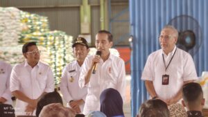 Jokowi Salurkan Bantuan Pangan Beras di Labuhanbatu