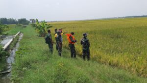 Kodim Lamongan dan BPBD Tinjau Titik Lokasi Pompanisasi