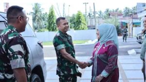 Plt Bupati Labuhanbatu Sambut Kunjungan Tim Pengawas dan Evaluasi TMMD