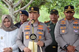 Poldasu Temukan Ladang Ganja Seluas 5 Hektar di Madina