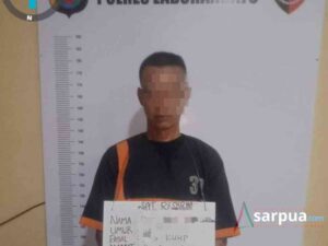 Terlibat Pembobolan Rumah, Warga Rantauprapat Ditangkap Polisi