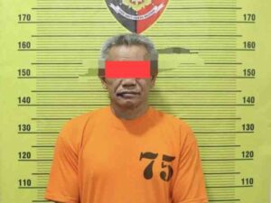 Poldasu Tetapkan Satu Tersangka Lagi Kasus Pembakaran Rumah Sempurna Pasaribu