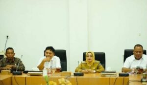 Ellya Rosa Sampaikan Aspirasi Masyarakat ke DPRD Sumut Terkait Kerusakan Jalan Provinsi di Labuhanbatu