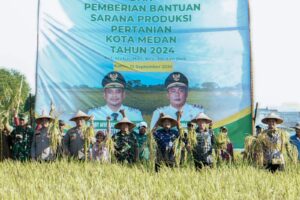 Panen Raya Padi di Mabar Hilir, Bobby Nasution Ingin Sektor Pertanian Berkembang