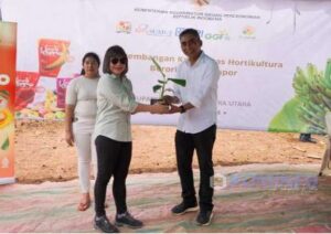Wabup Karo Hadiri Penanaman Pisang Cavendish dan Launching Kemitraan Closed Loop