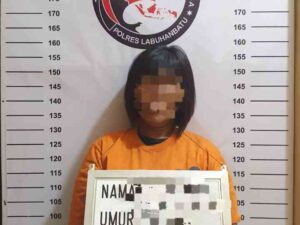Terlibat Peredaran Sabu, IRT di Labuhanbatu Ditangkap Polisi
