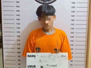 Pengedar Sabu di Labuhanbatu Ditangkap Polisi