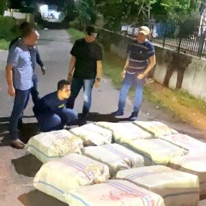Gagalkan Peredaran 272 Kg Ganja, Poldasu Tangkap Dua Pelaku