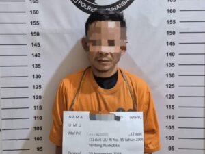 Satresnarkoba Polres Labuhanbatu Tangkap Pengedar Narkoba