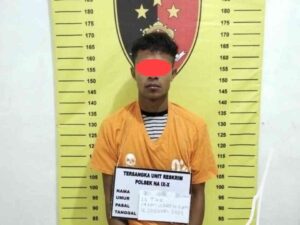 Pengedar Sabu di Desa Kampung Pajak Ditangkap Polsek Na IX-X