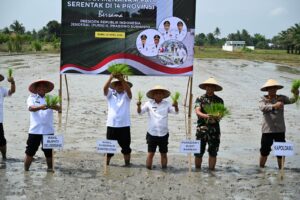 Gerakan Tanam Padi Serentak, Pemprovsu Komitmen Kuat Dukung Program Swasembada Pangan