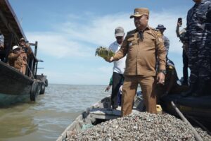 Wabup Asahan Taburkan Benih Kerang Dara di Pesisir Desa Silo Baru