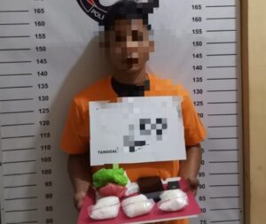 Timsus Anti Narkoba Polres Labuhanbatu Tangkap Bandar Sabu di Bilah Hilir