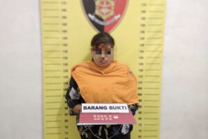 Bawa Belasan Paket Sabu, Wanita Asal Rantauprapat Ditangkap di Labura