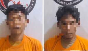 Satresnarkoba Polres Labuhanbatu Tangkap Dua Pengedar Sabu di Panai Hulu