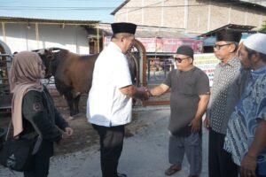 Bupati Asahan Serahkan Hewan Kurban Presiden Prabowo ke Masjid Raya Kisaran