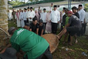 Bupati Asahan Pantau Penyembelihan 111 Hewan Kurban