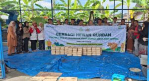 Eco Qurban, Pegadaian Medan Sumbang Hewan Qurban ke Bank Sampah New Normal