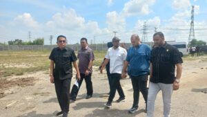 Hutan Mangrove Di Pulau Sicanang Ditimbun Untuk Bangun Pabrik