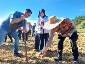 Polsek Bilah Hulu Polres Labuhanbatu Dukung Swasembada Pangan 2025