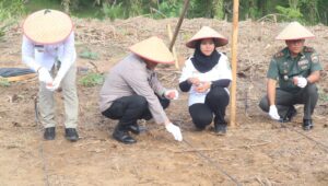 Polres Labuhanbatu dan Forkopimda Tanam Jagung Serentak Kuartal 3 di Labura