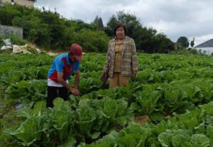 Mengenal Inovasi Dinas Pertanian Kabupaten Karo, ‘Tegulah Petani’