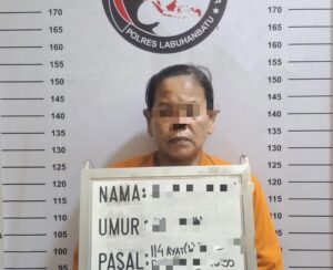 Polres Labuhanbatu Tangkap IRT Pengedar Sabu di Bilah Hulu
