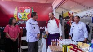 Wabup Karo Hadiri Pekan Inovasi Investasi Sumut 2025