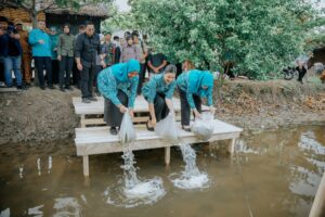 Dorong Swasembada Pangan, Kahiyang Ayu Tabur 15.000 Benih Ikan di Langkat