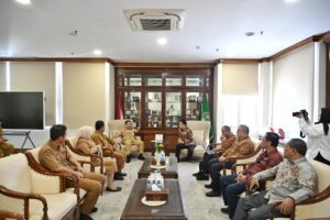 Pemprovsu Dukung Percepatan Optimalisasi Kelistrikan Pedesaan