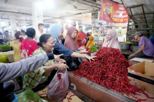 Harga Cabai Turun Hingga Rp35 Ribu/Kg, Tandai Pasokan di Sumut Terkendali