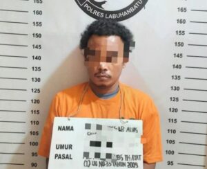 Satresnarkoba Polres Labuhanbatu Tangkap Pengedar Sabu