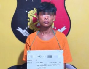 Polsek Panai Hilir Ringkus Pengedar Sabu di Perladangan Sawit Seiberombang