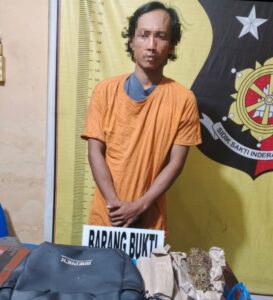 Tangkap Pengedar, Polsek Panai Tengah Sita Ganja Setengah Kilogram