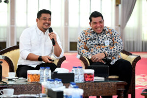 Pemprovsu Susun Strategi Pengembangan Kawasan Unggulan Tiga Sektor