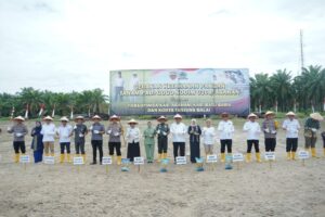 Forkopimda Asahan Bersatu Dukung Gerakan Tanam Padi Gogo Kodim 0208/Asahan