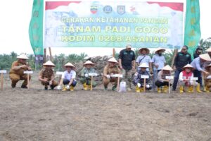 Kodim 0208/Asahan dan Pemkab Perkuat Ketahanan Pangan Lewat Tanam Padi Gogo di Bandar Pulau