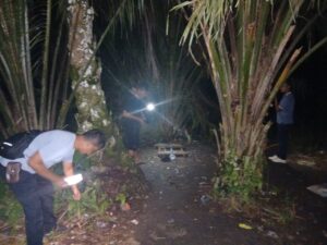 Polsek Bilah Hulu Gerebek Sarang Narkoba di Kebun Sawit Sigambal