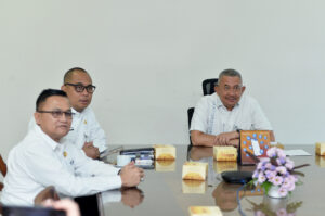 Pemprovsu Targetkan Penyusunan R3P Selesai Akhir Januari