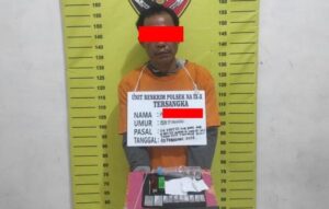 Pengedar Sabu di Aekkotabatu Labura Ditangkap