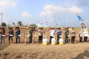 Forkopimda Simalungun Tanam Jangung Dukung Swamembada Pangan