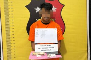 Pengedar Narkoba di Simandulang Labura Ditangkap Polisi, Sabu 10,16 Gram Disita