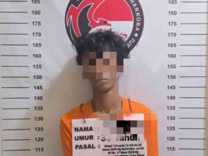 Satresnarkoba Polres Labuhanbatu Tangkap Pengedar Sabu di Bilah Barat