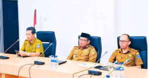 Wabup Labuhanbatu Ikuti Rakor Bersama Kemendagri, Bahas Pengendalian Inflasi hingga Program 3 Juta Rumah
