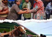 Bupati Karo Serahkan Hewan Qurban Bantuan Presiden RI Untuk Masyarakat di Masjid Al Munawarah
