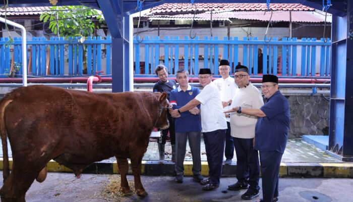 Kemnaker Himpun 93 Hewan Kurban, Menaker: Iduladha Momentum Perkuat Kepedulian dan Kinerja