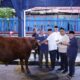 Kemnaker Himpun 93 Hewan Kurban, Menaker: Iduladha Momentum Perkuat Kepedulian dan Kinerja