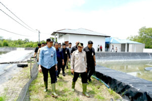 Tinjau UPTD BIAPAL Sialang Buah, Wagubsu Surya Dorong Peningkatan PAD Sektor Perikanan