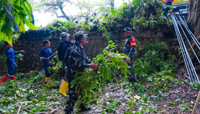Peringati Hari Lingkungan Hidup Sedunia, Pemko Medan Gelar Gotong Royong Massal Kumpulkan 28 Ton Sampah 
