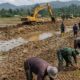 Puluhan Ribu Hektare Sawah Terdampak Kembali Produktif, Satgas PRR Dorong Akselerasi Pemulihan